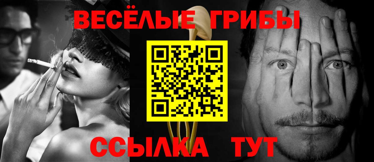 Галлюциногенные грибы ЛСД Троицк