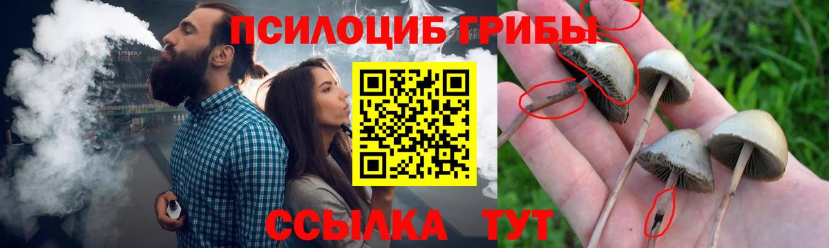 Троицк  Галлюциногенные грибы Magic Shrooms  сколько стоит  Галлюциногенные грибы Magic Shrooms  Вход с VPN 
